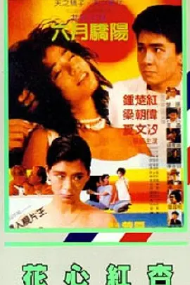 一区二区福利视频