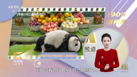 爱爱教学